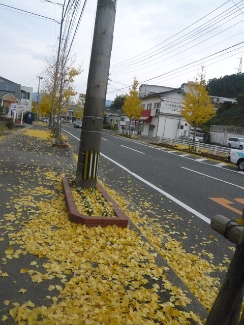 f0142768_1611775.jpg