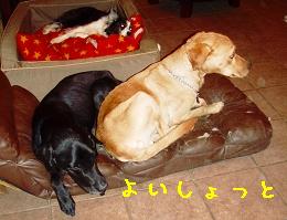密着系♪_b0003270_22184317.jpg