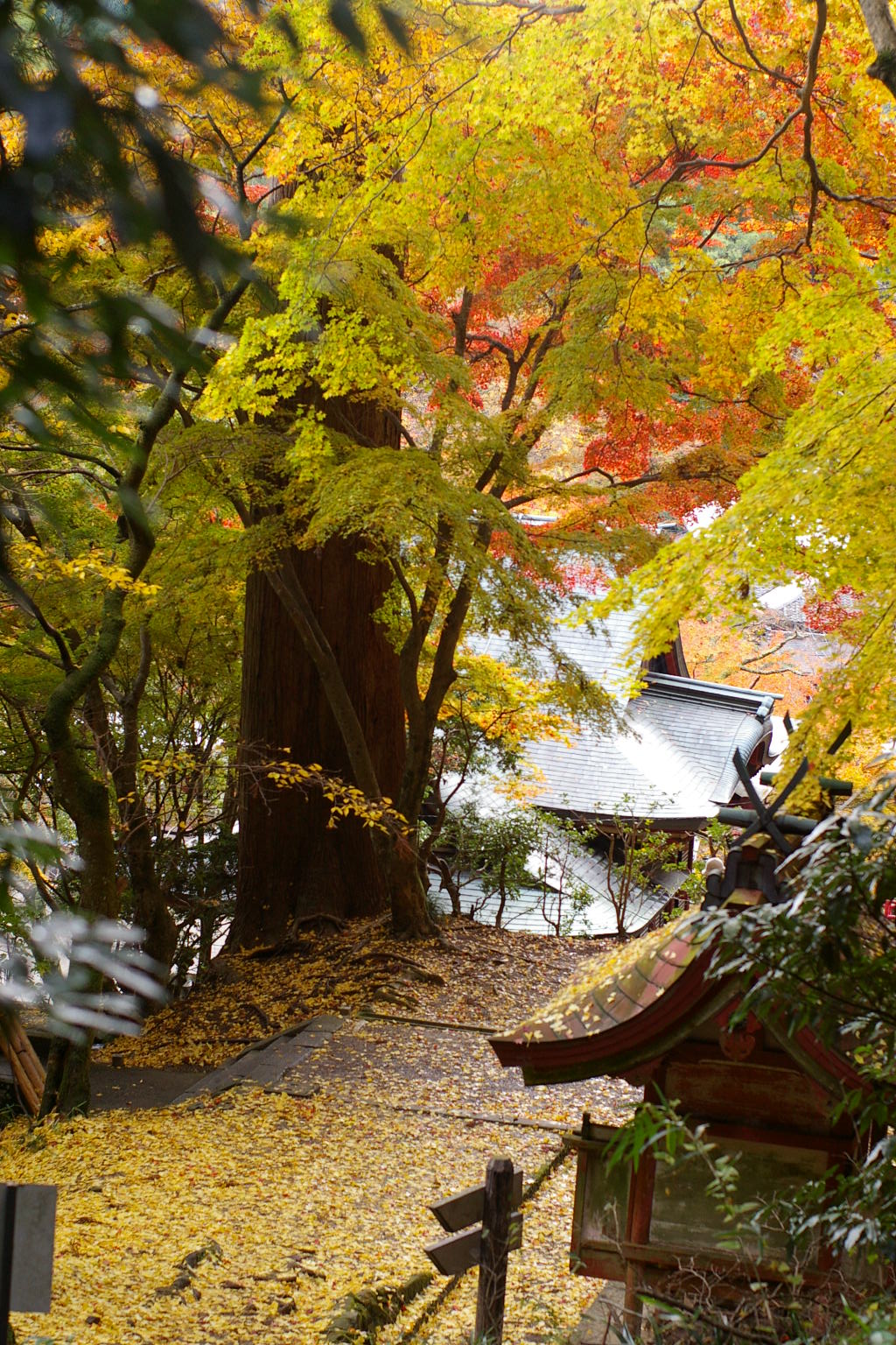 ナラナラ日記ー談山神社から聖林寺_d0116183_2143263.jpg