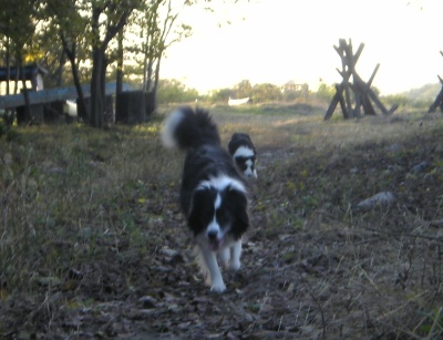 f0015287_22405057.jpg
