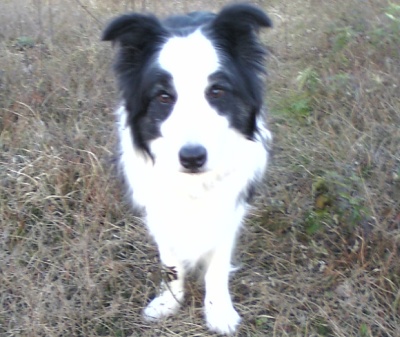 f0015287_22413717.jpg