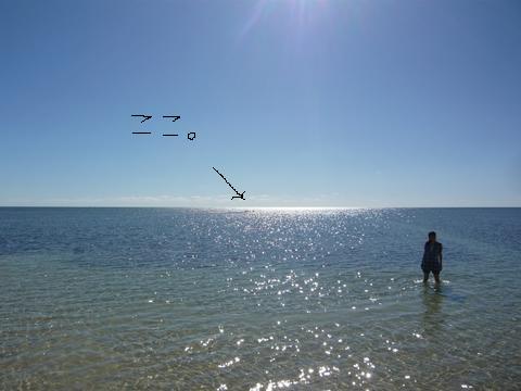 f0181488_74659.jpg