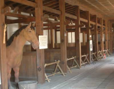 c0093196_941569.jpg