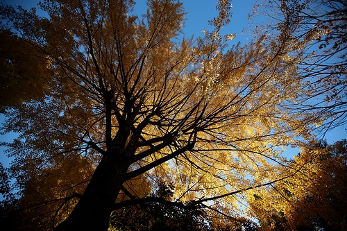 b0155903_17355095.jpg