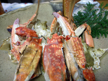 f0165303_05786.jpg