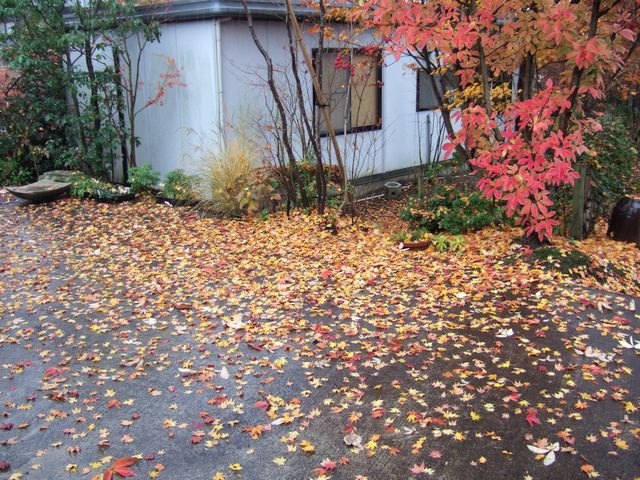 やむなく中断。_f0108604_17204129.jpg