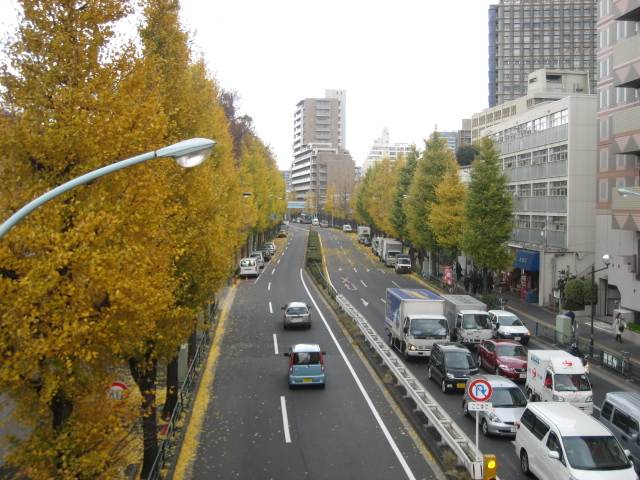 d0093506_20142982.jpg