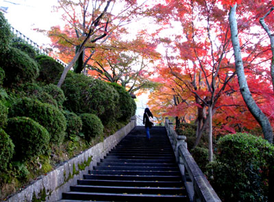 紅葉の極み　清水寺_e0048413_21572126.jpg