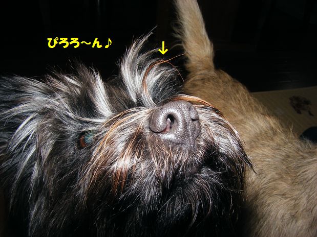 c0039114_2240032.jpg