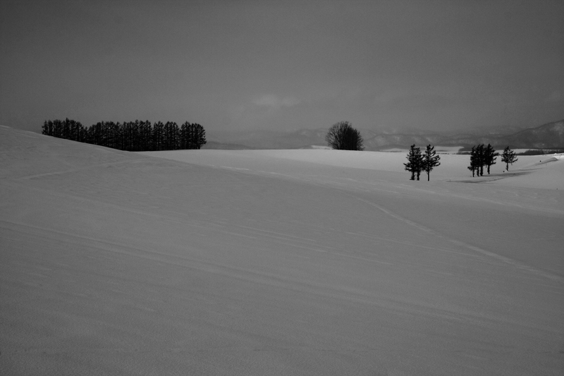 c0179619_2152277.jpg
