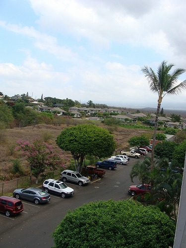 f0170524_8525877.jpg