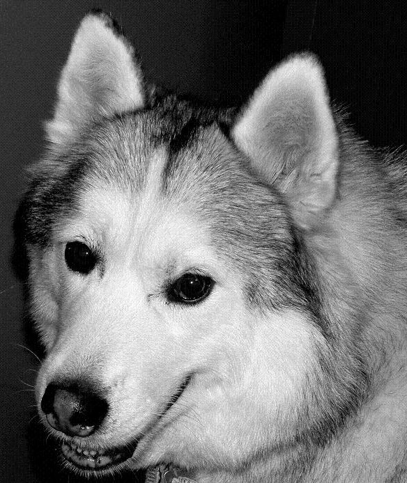 d0118729_2356521.jpg