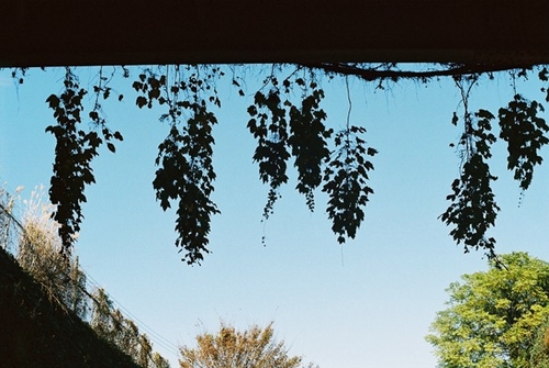 mobile phone_d0108333_15553959.jpg