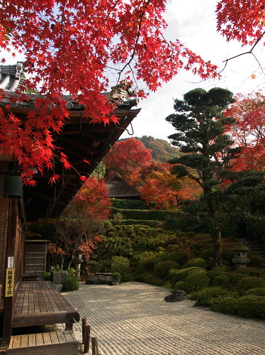 紅葉巡り2008～京都・金福寺～　(11/29)_e0080133_00529.jpg