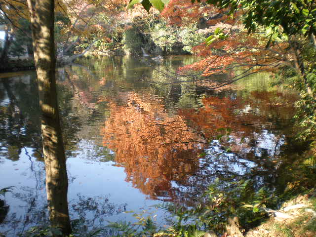 氷川神社_f0173342_22105483.jpg