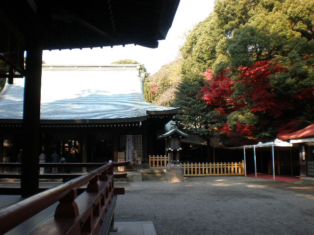 氷川神社_f0173342_22163398.jpg