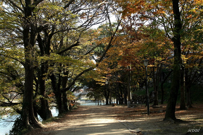 岡山城　　紅葉～＾＾_c0126344_18153460.jpg