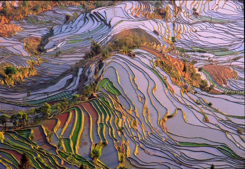 雲南省 羅平 元陽 菜の花 棚田 Okatai3のフォトブログ テーマ別