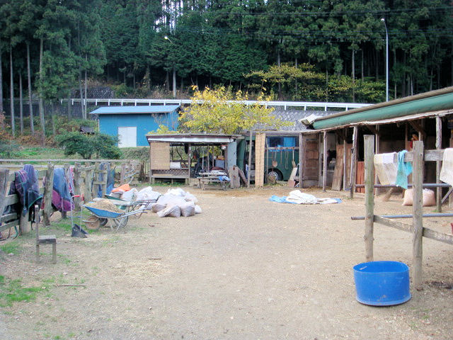 b0136045_513171.jpg