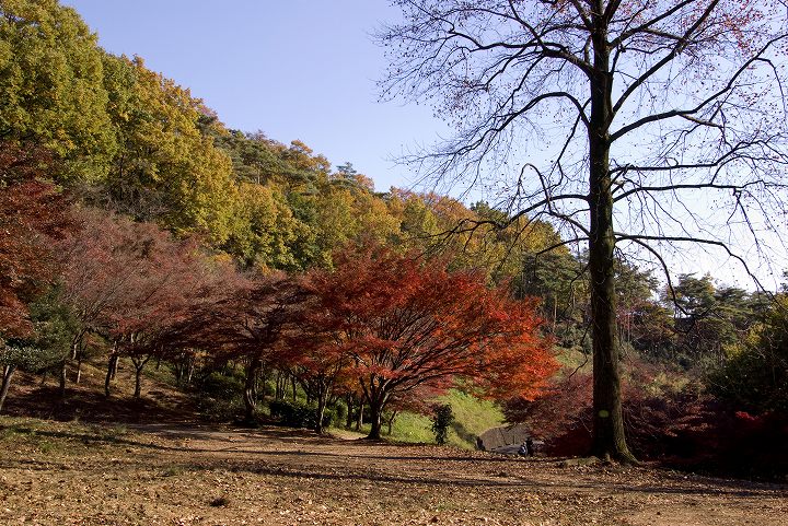 ばんな寺から織姫公園もみじ谷へ_e0000746_19235096.jpg