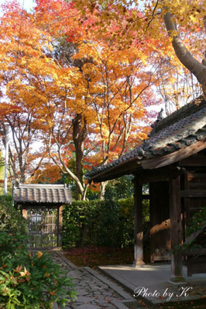 c0127748_1151087.jpg