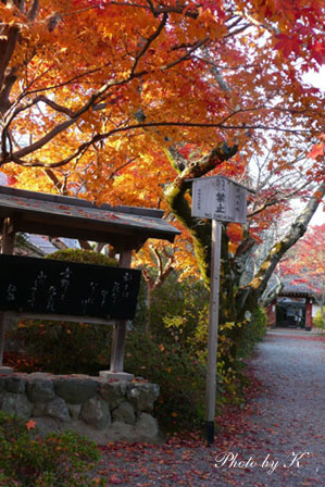 c0127748_1175932.jpg