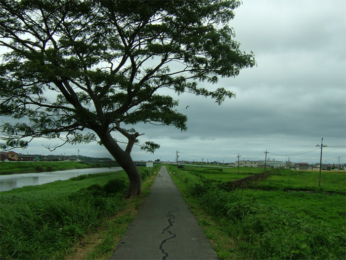 大好きな風景_c0110051_9562217.jpg