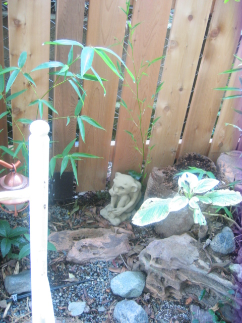 e0167453_1052014.jpg