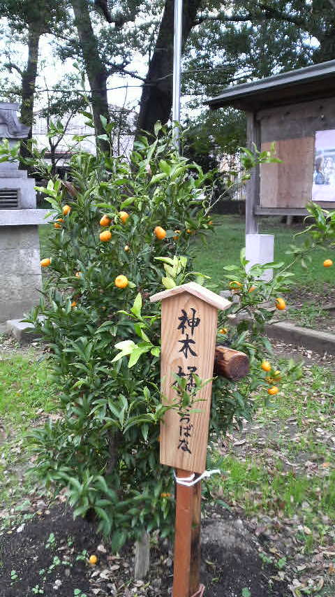 c0147261_231749100.jpg