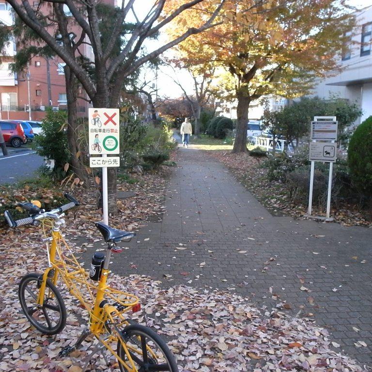 f0178061_0441935.jpg