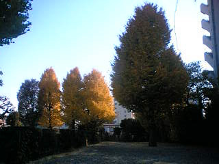 a0053063_11628.jpg