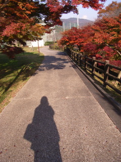 紅葉お散歩_d0146870_1531044.jpg