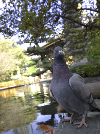 c0171873_874365.jpg