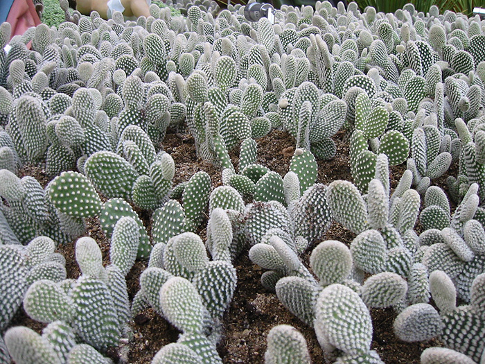 c0175975_23324758.jpg
