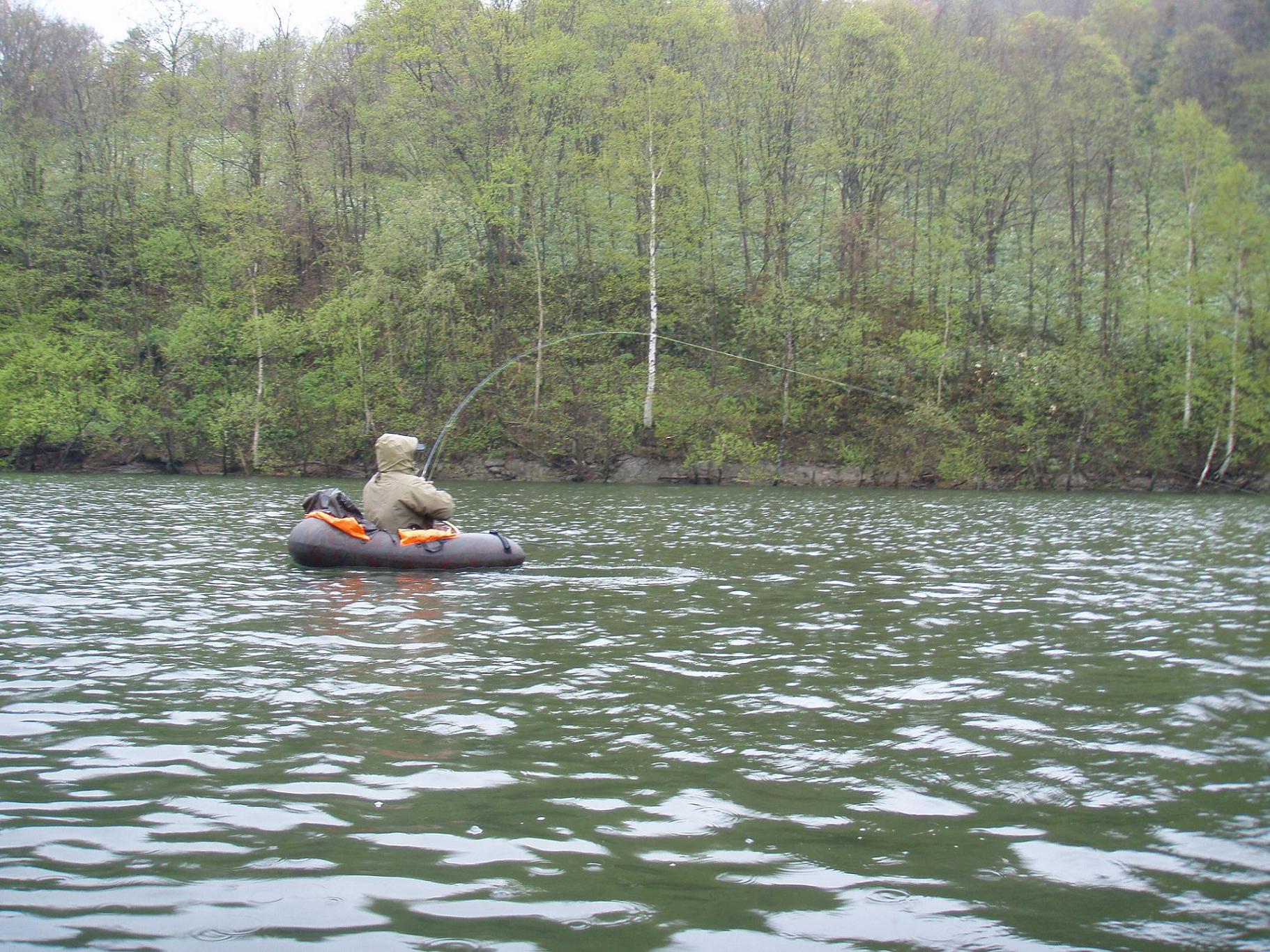 f0005785_201072.jpg