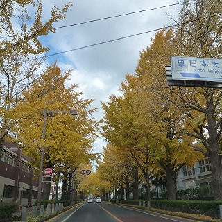 c0160488_18491645.jpg