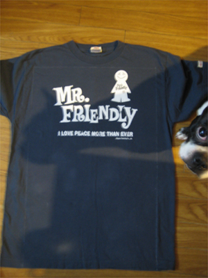 MR. FRIENDLY Cafe 　 リユーズTシャツを利用したクッションカバー_a0101591_1854099.jpg