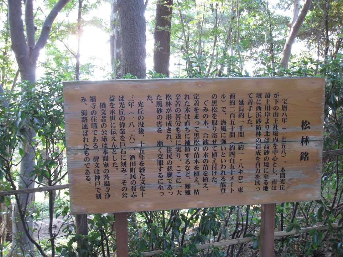 f0010195_0152293.jpg