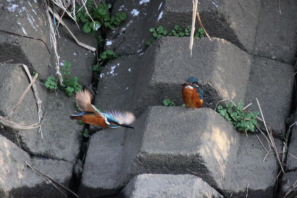 すれ違い_b0024798_559919.jpg