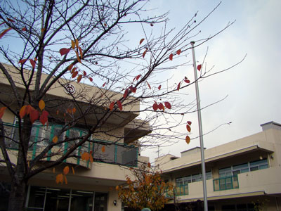 a0047200_2265468.jpg