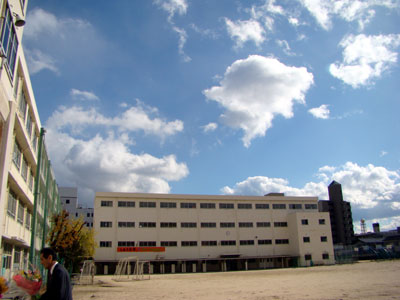 a0047200_228387.jpg