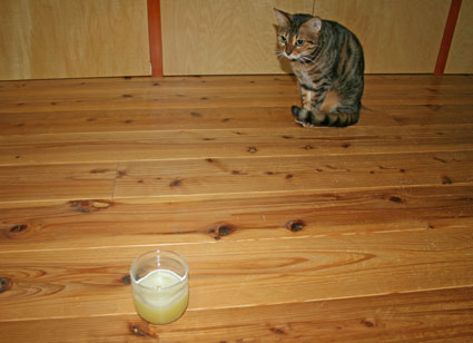 c0011300_17211635.jpg