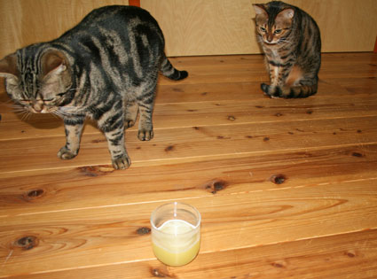 c0011300_1723917.jpg