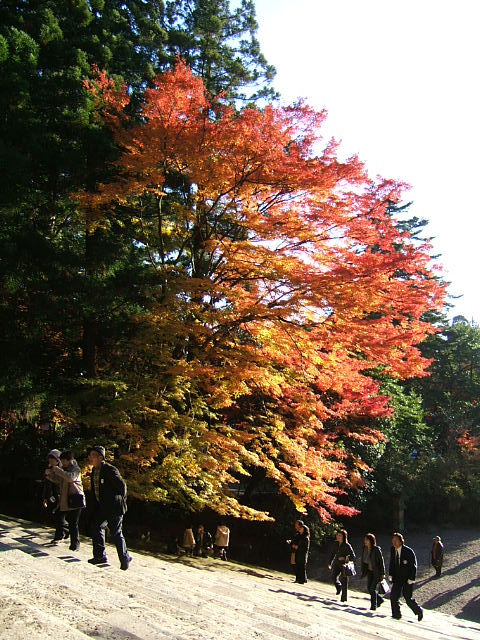 c0037701_031046.jpg