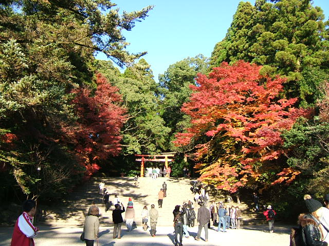 c0037701_043668.jpg
