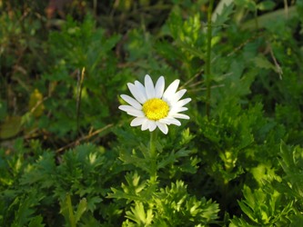 c0156104_016767.jpg