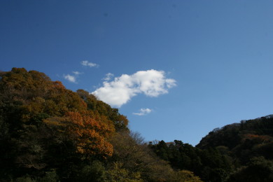 a0007906_172504.jpg
