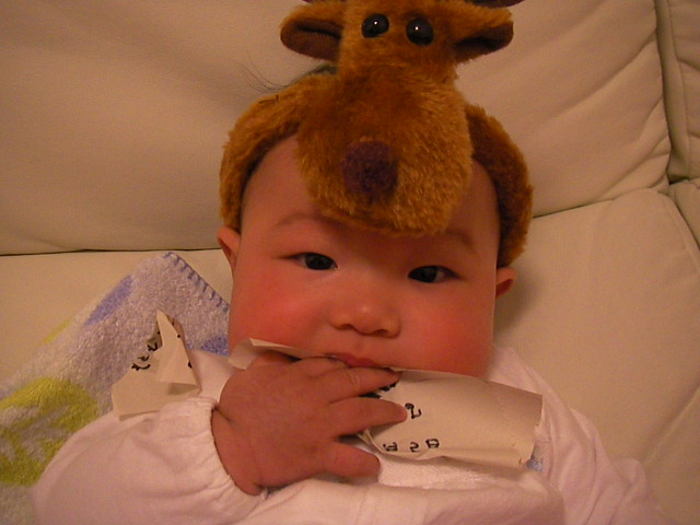 f0038407_21551291.jpg