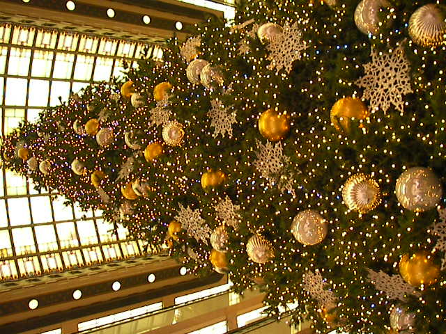 f0038407_2262152.jpg