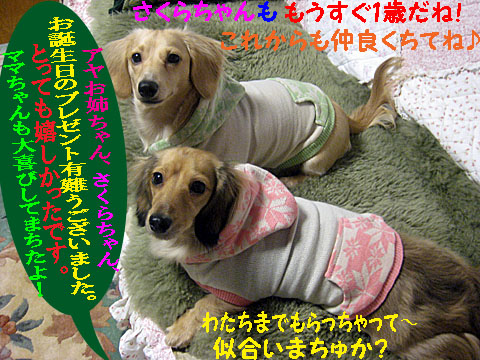 c0108112_2005628.jpg